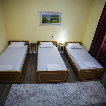 Visi Korce